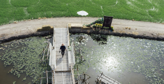 rice field and people on bridge walking in Thailand
